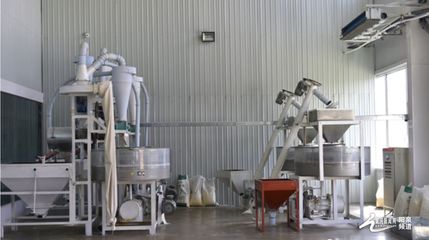 種植加工一體化 盂縣“辰厚、佳珍”產業發展持續發力與技術推廣新路徑
